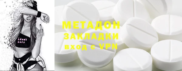прущие грибы Вязьма