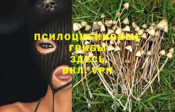 кокс Бородино