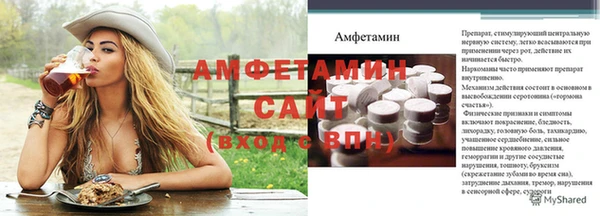 прущие грибы Вязьма