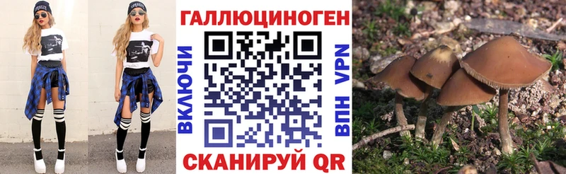 купить наркоту Заполярный Псилоцибиновые грибы мицелий